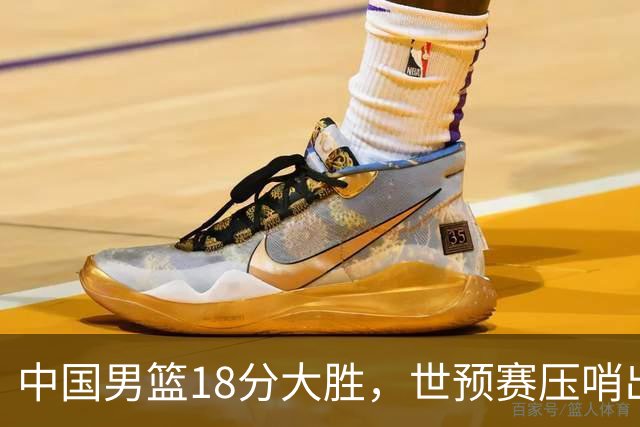 中国男篮18分大胜，世预赛压哨出线！剩一个悬念：日韩与联手做局