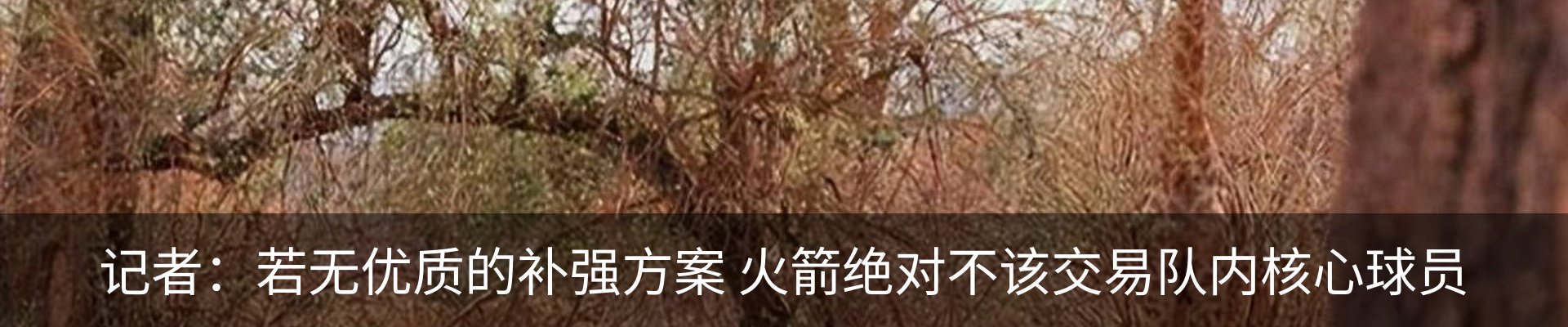 行业资讯