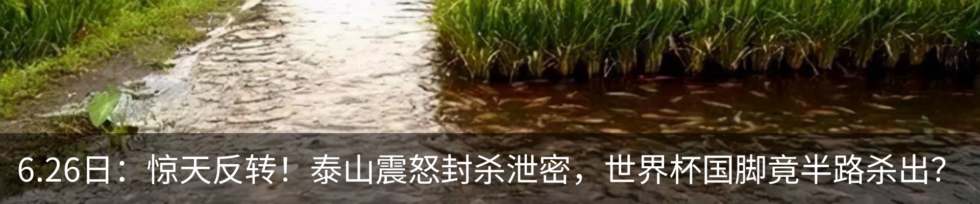 行业资讯